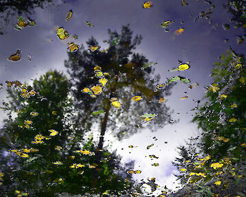 aus der Serie: "Wasserspiele Studie", Fine Art Print, Hahnemühle Archival Photo Rag, 2025 © Michael Hooymann