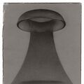 WMF Vase 2021 * Platinum Print auf Kozo Papier und Wachs