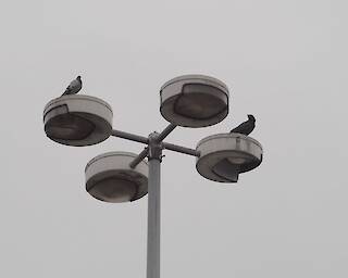© Elias Müller