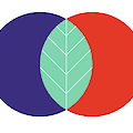 Graphic: Two overlapping circles, purple and red. The intersection has the shape of a plant leaf and is colored green.