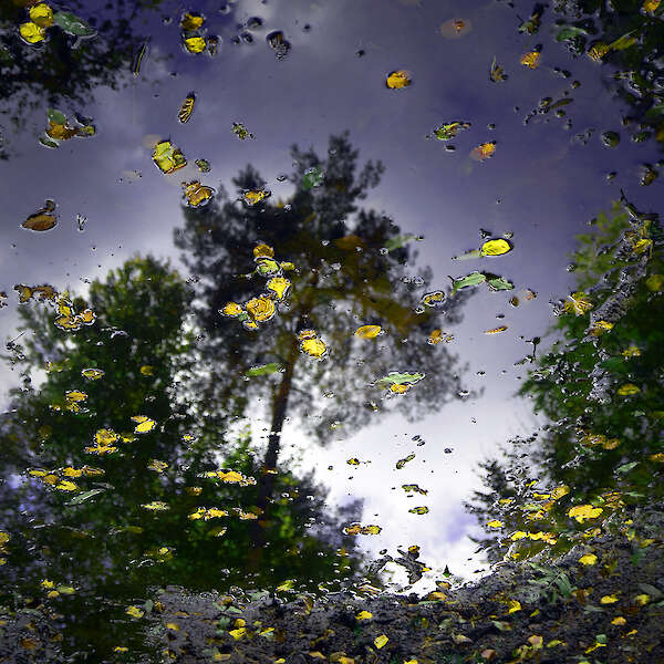 aus der Serie: "Wasserspiele Studie", Fine Art Print, Hahnemühle Archival Photo Rag, 2025