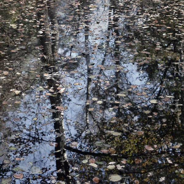 aus der Serie: "Wasserspiele Studie", Fine Art Print, Hahnemühle Archival Photo Rag, 2025