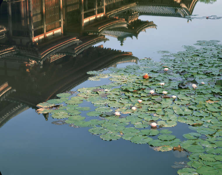 Byôdôin-Tempel, Kyoto © Miyoshi Kazuyoshi