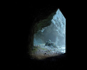 aus der Serie "Third Nature" © Jan Stradtmann