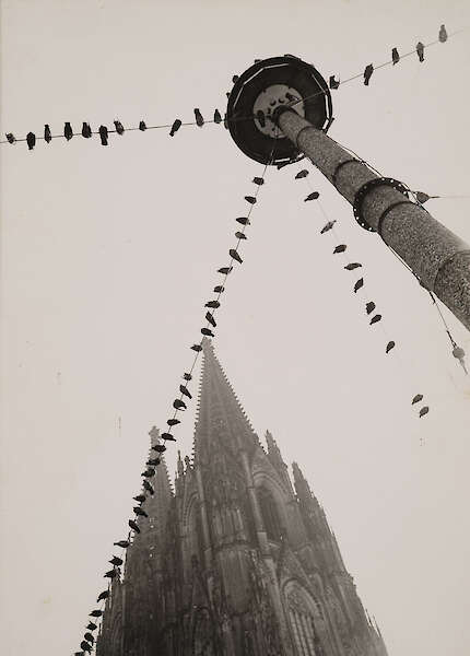 "Tauben", 1944, Silbergelatine Abzug, Kölnisches Stadtmuseum, RBA